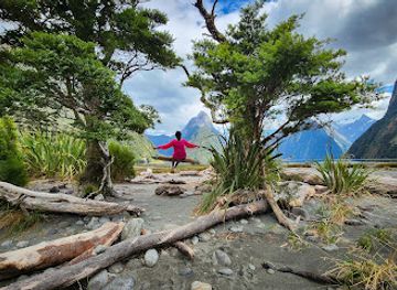 new-zealand/milford-sound/shop/milford-sound-swing