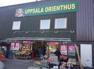 sweden/uppland/shop/uppsala-orienthus