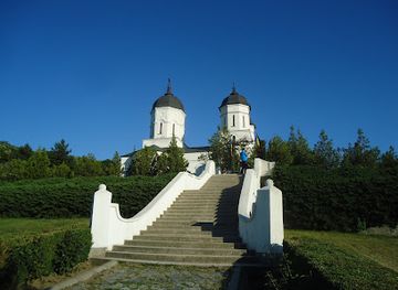 romania/dobrogea-plateau/shop/dobrogea-plateau