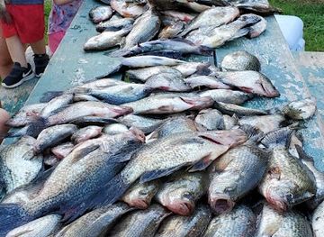 louisiana/toledo-bend-reservoir/shop/toledo-bend-pro-guide-service