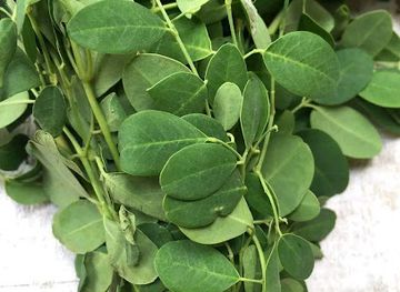 malawi/mzuzu/shop/selling-of-organic-herbs-seeds