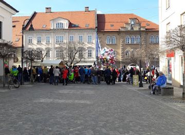 slovenia/carinthia/shop/koroska-galerija-likovnih-umetnosti
