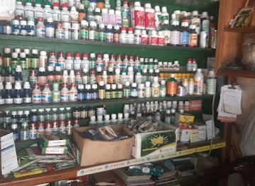 bangladesh/rangamati/shop/m-s-hironnya-store
