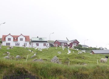 faroe-islands/eysturoy-island/shop/samkeyp