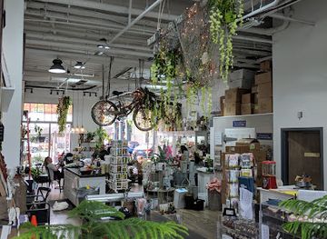 connecticut/norwalk-islands/shop/braach-s-flowers