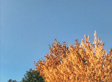 morocco/anti-atlas/shop/atlas-coffee-shop