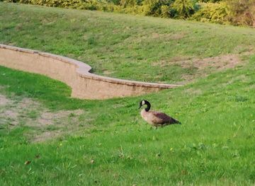 rhode-island/blackstone-river-bikeway/shop/blackstone-valley-greenway-parking-lot-lincoln