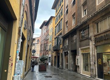 italy/pisa/shop/must