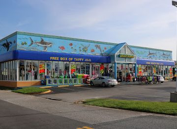 florida/destin/shop/alvin-s-island-destin-750