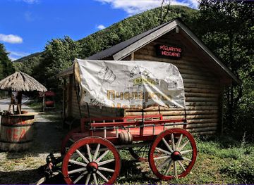montenegro/sinjajevina/shop/mojkovac