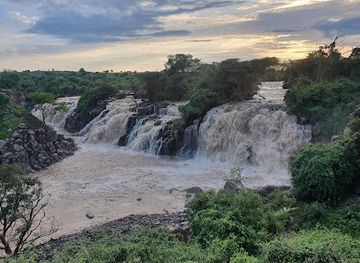 ethiopia/awash-national-park/shop/awash-national-park