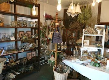 japan/chikuzen/shop/moritaba