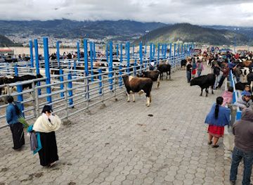 ecuador/imbabura-region/shop/new-animal-market