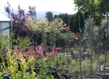 romania/harghita/shop/oaza-tibcsi-srl