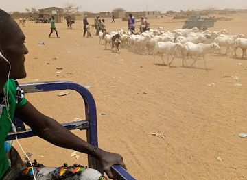 burkina-faso/gorom-gorom/shop/souq-al-bahaim-fi-ghroom-ghroom