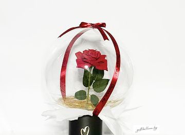 bulgaria/vitosha-mountain/shop/podarak-v-balon