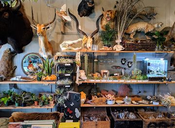 nevada/reno/riverwalk-district/shop/natural-selection