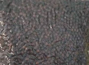 vietnam/phu-quoc/shop/ho-tieu-le-dong