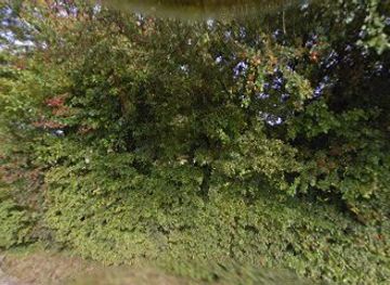 jersey/trinity/shop/countryhouse-antiques