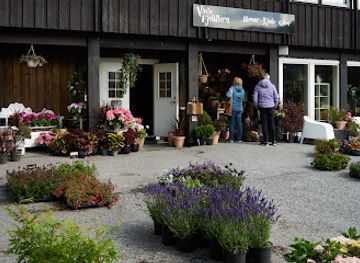 norway/rauland/shop/vinje-fjellflora-as