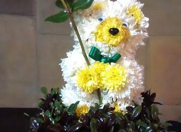 chile/los-rios-region/shop/floreria-carmen