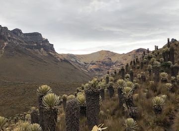 colombia/los-nevados-national-natural-park/shop/nevado-del-quindio