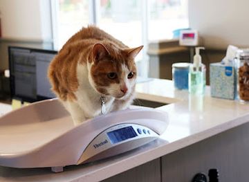 azerbaijan/ali-bayramli/shop/dniz-market