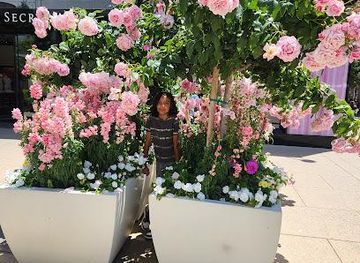 delaware/newark/shop/660-stanford-shopping-center