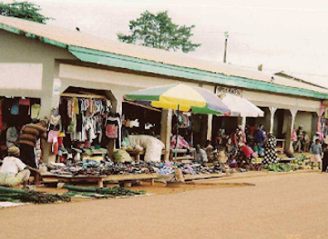 gabon/chaillu-massif/shop/tyga-chiz