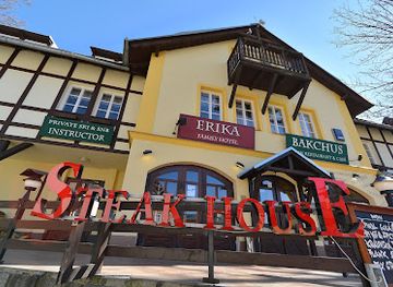 czechia/krkonose/shop/bakchus-restaurant-cafe