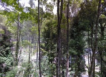 bhutan/chhukha/shop/district-store