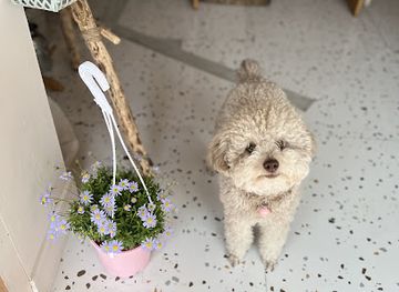 south-korea/busan/gwangalli-beach/shop/eepin