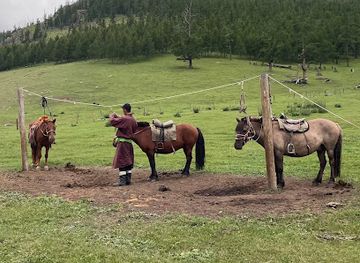 mongolia/mongolian-manchurian-grassland/shop/mongoliatours