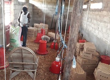 senegal/niokolo-koba-national-park/shop/charcuterie-chez-kaba