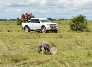 colombia/los-llanos/shop/wild-llanos-tours-safaris