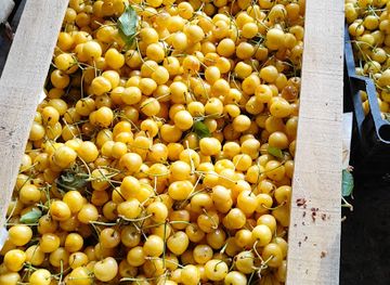 azerbaijan/shaki/shop/shop-soleniya