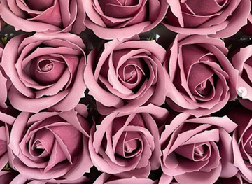 azerbaijan/gabala/shop/flamingo-tort-lvazimatlari-qbl