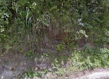 bhutan/trongsa-district/shop/semji-to-chase-potku-trongsa