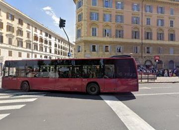 vatican-city/vatican-pinacoteca/shop/christmas-store