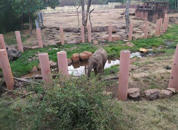 mali/boucle-du-baoule-national-park/shop/mali-national-park