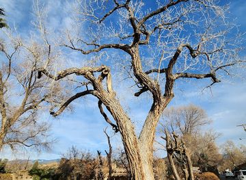 new-mexico/santa-fe-national-forest/shop/nathalie-home