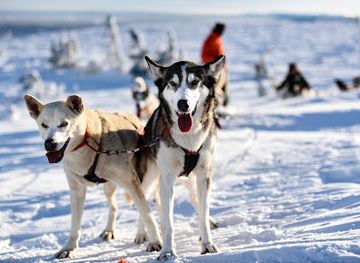 sweden/lindvallen/shop/fjallaventyr-ab
