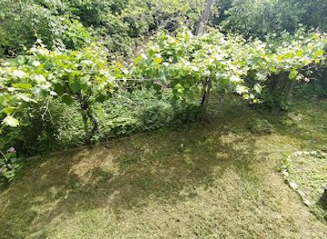 georgia/signagi/shop/bio-agro-garden-nukriani