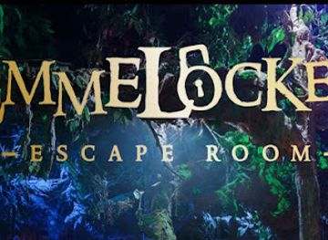 netherlands/noordoostpolder/shop/emmelocked-escape-room