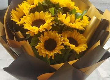 albania/librazhd/shop/dyqanlulelibrazhd