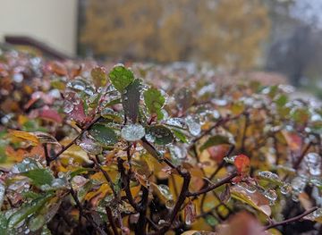 ukraine/cherkasy/shop/astra-suvenirnyy-salon