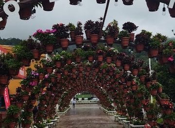 panama/boquete/shop/fraiche-boquete