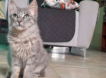 peru/trujillo/chan-chan/shop/luisa-pelaez-y-su-boutique