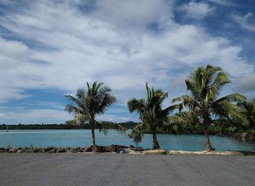samoa/savai-i/shop/bluebird-lumber-and-hardware-salelologa