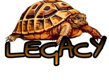 cameroon/buea/shop/legacy-official-brand